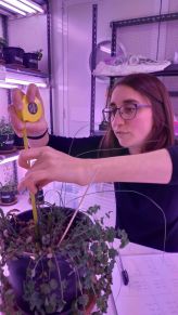 WhatsApp Image 2020-09-13 at 08.21.59